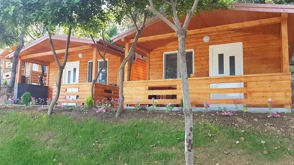Plazhi Gjeneralit - Small Cabins - Bungalows - Apartaments - Villas - Suite Kavaje Parque de vacaciones