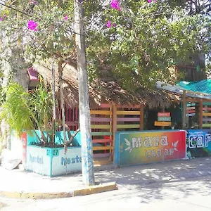 https://hostel-maya-chaan.quintano-roohotels.com
